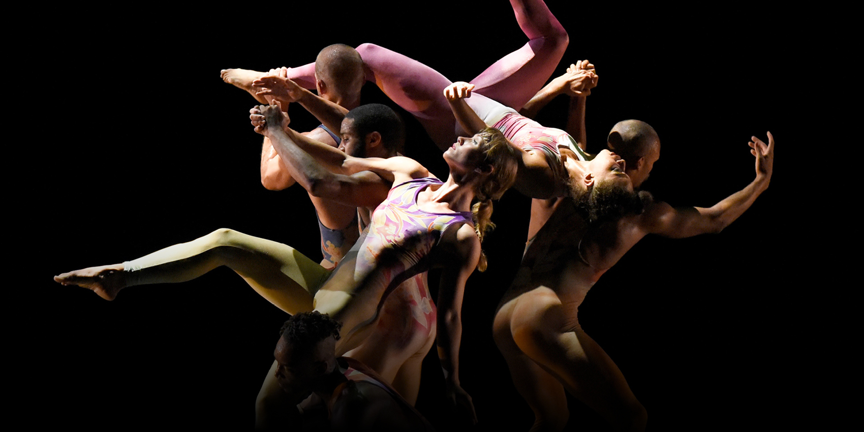 Pilobolus