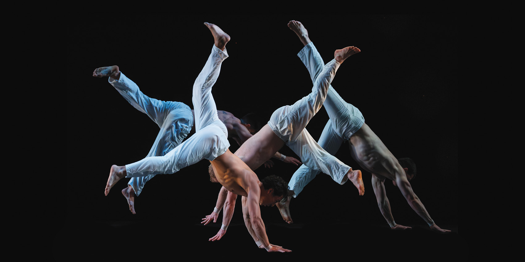 Pilobolus