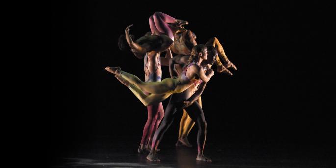 Pilobolus re:CREATION