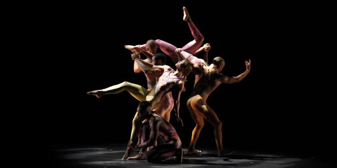 Pilobolus re:CREATION