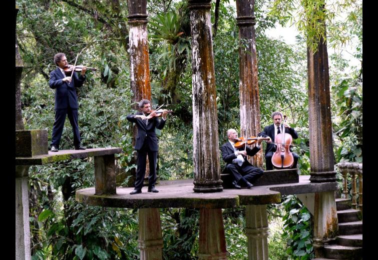 Four musicians with instruments play on an elevated platform in a green forest. 