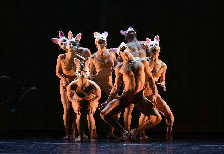 mcftpa-03_momix_down-the-rabbit-holeccourtesy-of-momix