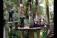 Four musicians with instruments play on an elevated platform in a green forest. 